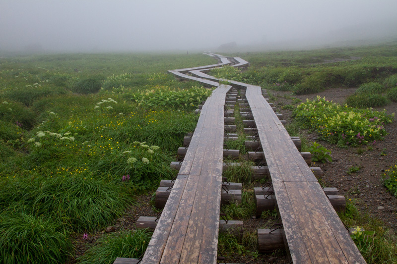 乗鞍岳 天空の花園