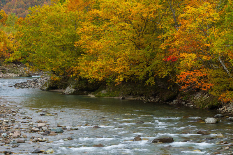 奥只見　銀山平