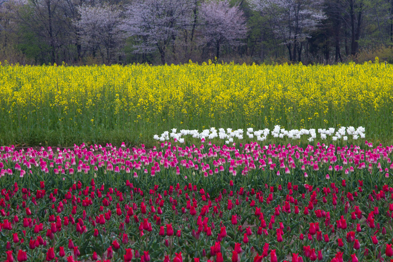 3段重ねの花園