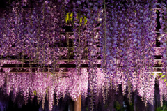 北方文化博物館
