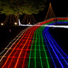 国営越後丘陵公園サマーナイトプレゼンツ2011　4