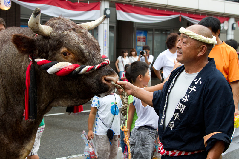 おぢやまつり　闘牛パレード