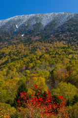 奥志賀高原　秋から冬へ