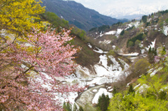 小谷村 早春風景