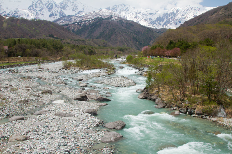 白馬松川水温む