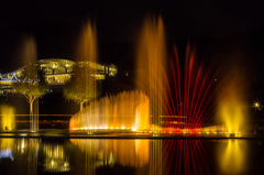 越後丘陵公園サマーナイツプレゼンツ「光の競演」