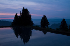 川口木沢棚田染まる