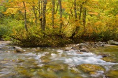 山形県小国町　温身平02