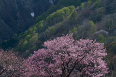 山形県旧小玉川小中学校校庭