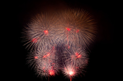 2010長岡大花火