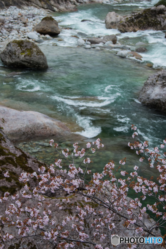 清流に添えて