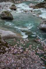 清流に添えて
