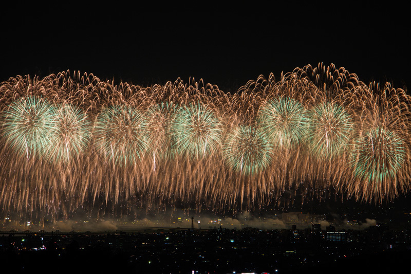 追悼の夜花