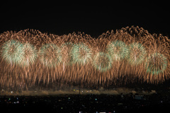 追悼の夜花