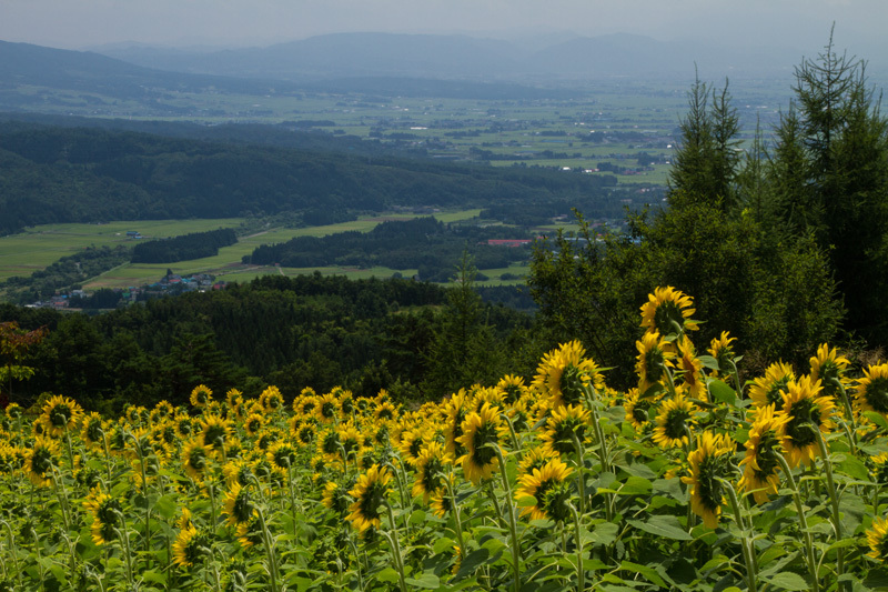 三ノ倉高原　会津盆地を望む
