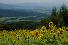 三ノ倉高原　会津盆地を望む
