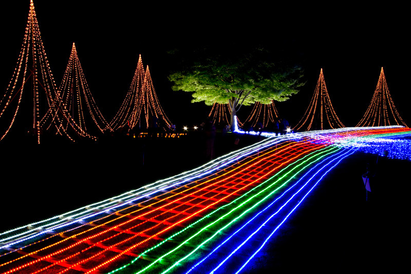国営越後丘陵公園　サマ―ナイツプレゼンツ2