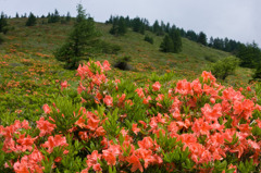 オレンジに染まる山肌