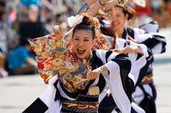 2010 にいがた総おどり3