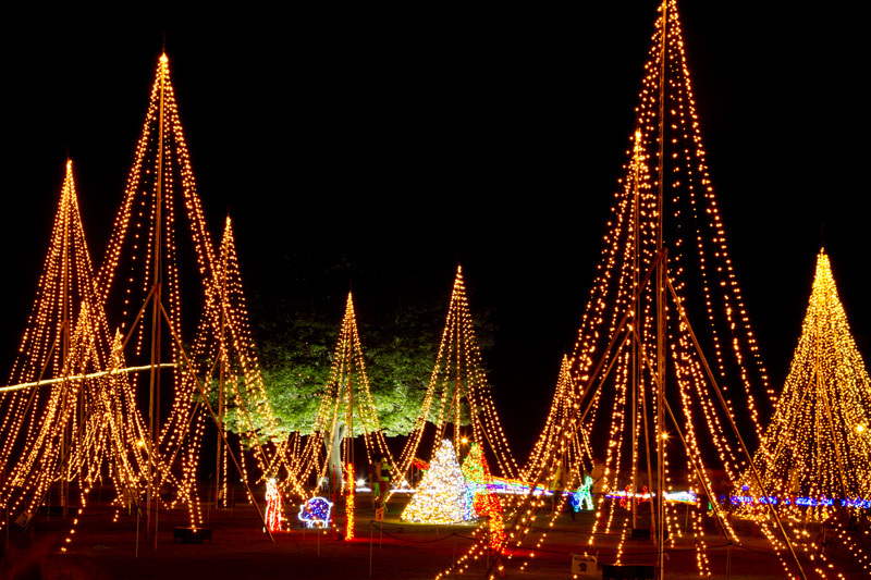 国営越後丘陵公園サマーナイツプレゼンツ2012_02