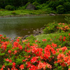高原の池のほとりで