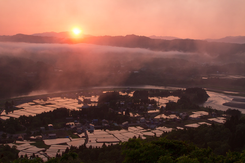 染田朝景