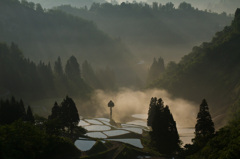 山古志竹沢朝景2