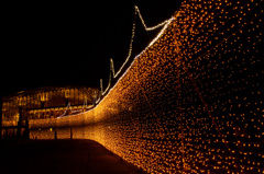 越後丘陵公園サマーナイトプレゼンツ「光のスクリーン」