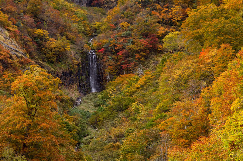 田子倉湖秋景7