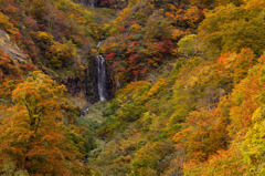 田子倉湖秋景7