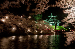 日本３大夜桜　高田公園01