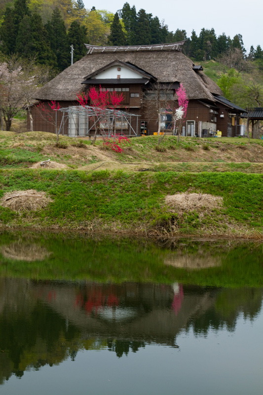 上越市　里山春景