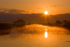 福島潟　賑やかな朝景