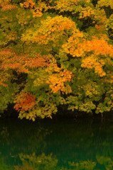 小国町小玉川渓谷２