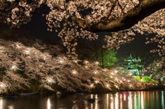 高田城百万人の観桜会2