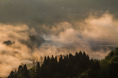 山本山　信濃川朝霧湧く