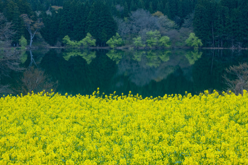 飯山市北竜湖