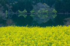飯山市北竜湖