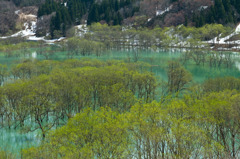 白川湖