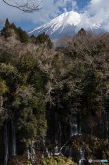 富士山の水が染み出す白糸の滝