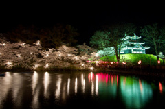 日本３大夜桜　高田公園02