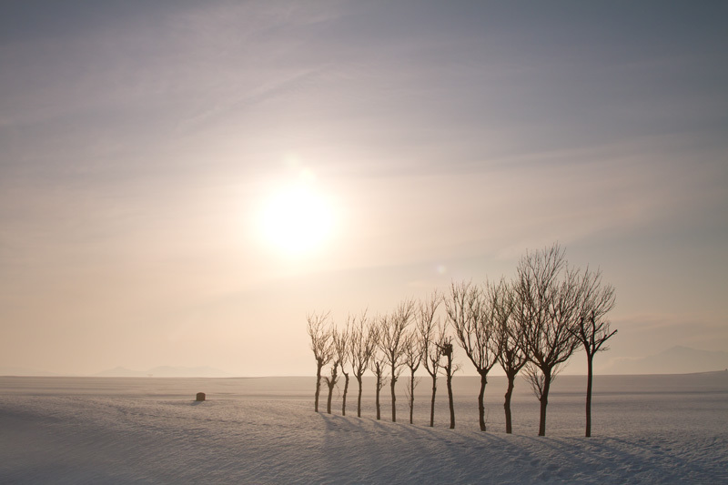 雪原の昇陽02