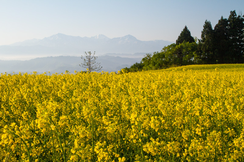 山本山　越後三山を望む