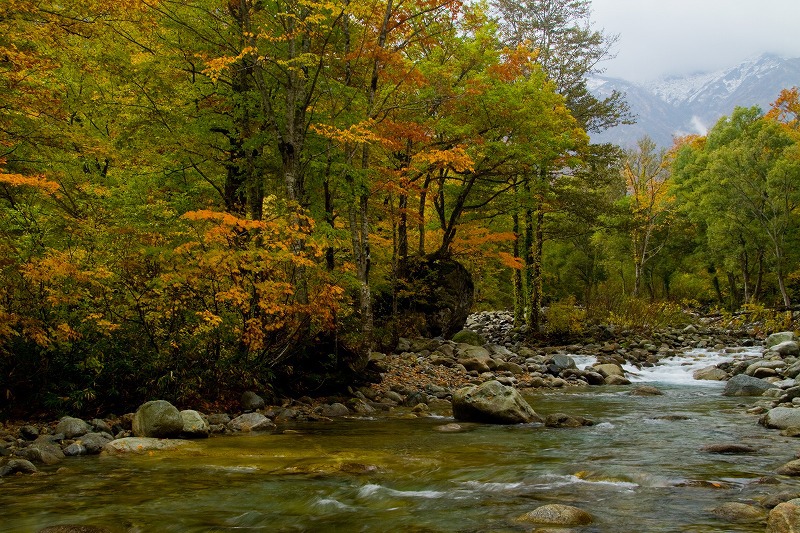 山形県小国町　温身平02
