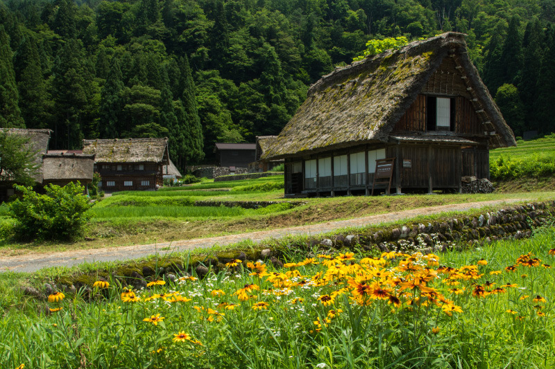 盛夏の里Ⅱ