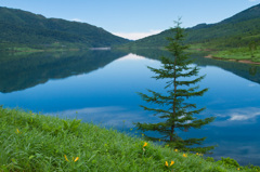 不思議なく湖面　野反湖