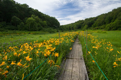 カヤノ平北ドブ池