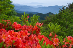 長野県五味池破風高原自然園