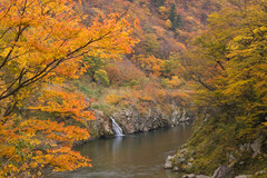 山形県赤芝峡