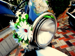 bouquet